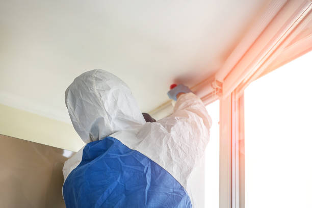 Best Attic Mold Removal in Scottsburg, IN